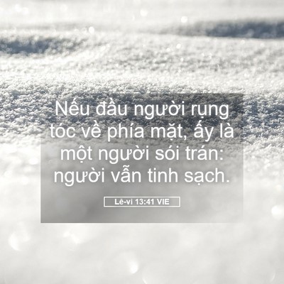 Picture 05 - Lê-vi 13:41 VIE - Nếu đầu người rụng tóc về phía - Bible Verse Picture