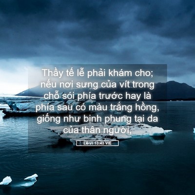 Picture 05 - Lê-vi 13:43 VIE - Thầy tế lễ phải khám cho; nếu nơi - Bible Verse Picture