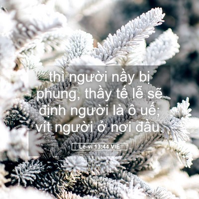 Picture 05 - Lê-vi 13:44 VIE - thì người nầy bị phung, thầy tế lễ - Bible Verse Picture