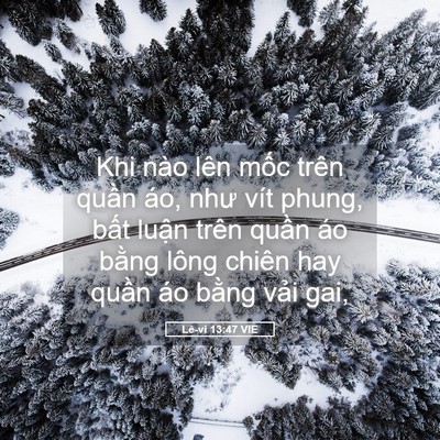 Picture 05 - Lê-vi 13:47 VIE - Khi nào lên mốc trên quần áo, như vít - Bible Verse Picture