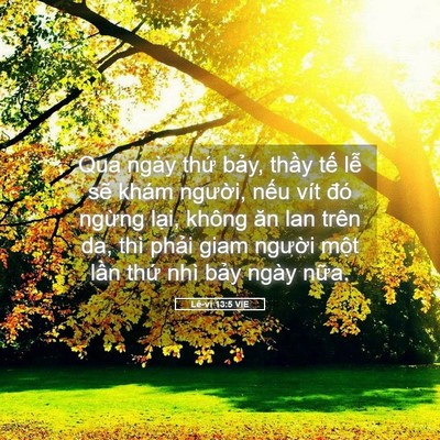 Picture 05 - Lê-vi 13:5 VIE - Qua ngày thứ bảy, thầy tế lễ sẽ - Bible Verse Picture