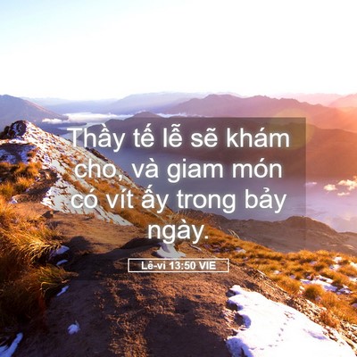 Picture 05 - Lê-vi 13:50 VIE - Thầy tế lễ sẽ khám cho, và giam món - Bible Verse Picture
