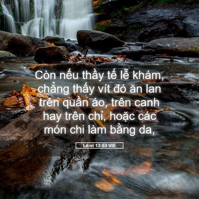 Picture 05 - Lê-vi 13:53 VIE - Còn nếu thầy tế lễ khám, chẳng thấy - Bible Verse Picture