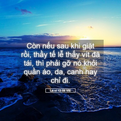 Picture 05 - Lê-vi 13:56 VIE - Còn nếu sau khi giặt rồi, thầy tế lễ - Bible Verse Picture