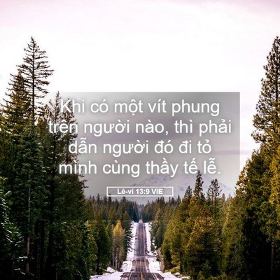 Picture 05 - Lê-vi 13:9 VIE - Khi có một vít phung trên người nào, - Bible Verse Picture