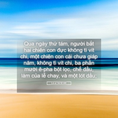 Picture 05 - Lê-vi 14:10 VIE - Qua ngày thứ tám, người bắt hai chiên - Bible Verse Picture