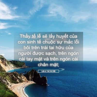 Picture 05 - Lê-vi 14:14 VIE - Thầy tế lễ sẽ lấy huyết của con - Bible Verse Picture