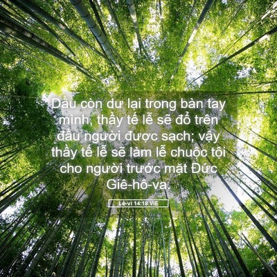 Picture 05 - Lê-vi 14:18 VIE - Dầu còn dư lại trong bàn tay mình, thầy - Bible Verse Picture