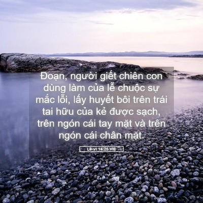 Picture 05 - Lê-vi 14:25 VIE - Đoạn, người giết chiên con dùng làm - Bible Verse Picture