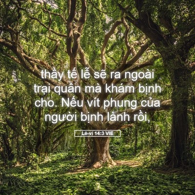 Picture 05 - Lê-vi 14:3 VIE - thầy tế lễ sẽ ra ngoài trại quân mà - Bible Verse Picture