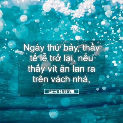 Picture 05 - Lê-vi 14:39 VIE - Ngày thứ bảy, thầy tế lễ trở lại, - Bible Verse Picture