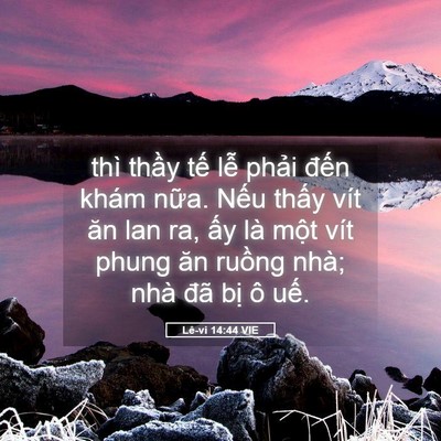 Picture 05 - Lê-vi 14:44 VIE - thì thầy tế lễ phải đến khám nữa. - Bible Verse Picture