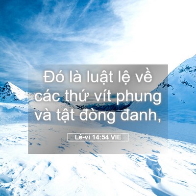 Picture 05 - Lê-vi 14:54 VIE - Đó là luật lệ về các thứ vít phung - Bible Verse Picture