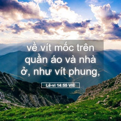Picture 05 - Lê-vi 14:55 VIE - về vít mốc trên quần áo và nhà ở, - Bible Verse Picture