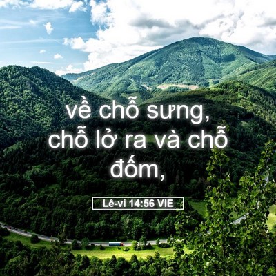 Picture 05 - Lê-vi 14:56 VIE - về chỗ sưng, chỗ lở ra và chỗ - Bible Verse Picture