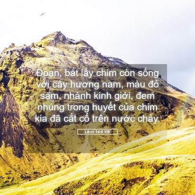 Picture 05 - Lê-vi 14:6 VIE - Đoạn, bắt lấy chim còn sống với cây - Bible Verse Picture