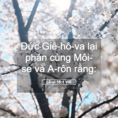 Picture 05 - Lê-vi 15:1 VIE - Đức Giê-hô-va lại phán cùng Môi-se và - Bible Verse Picture