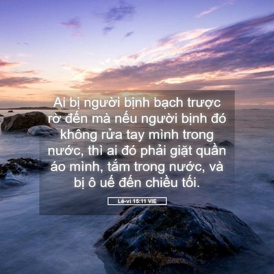 Picture 05 - Lê-vi 15:11 VIE - Ai bị người bịnh bạch trược rờ - Bible Verse Picture