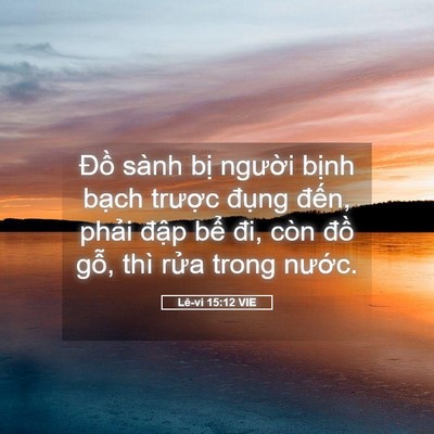 Picture 05 - Lê-vi 15:12 VIE - Đồ sành bị người bịnh bạch trược - Bible Verse Picture