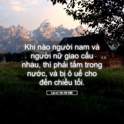 Picture 05 - Lê-vi 15:18 VIE - Khi nào người nam và người nữ giao - Bible Verse Picture