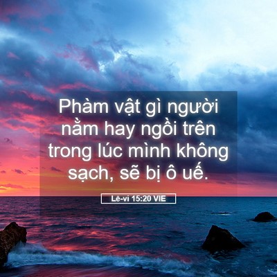 Picture 05 - Lê-vi 15:20 VIE - Phàm vật gì người nằm hay ngồi trên - Bible Verse Picture