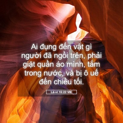 Picture 05 - Lê-vi 15:22 VIE - Ai đụng đến vật gì người đã ngồi - Bible Verse Picture