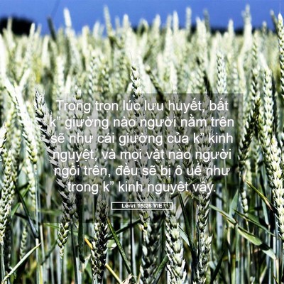 Picture 05 - Lê-vi 15:26 VIE - Trong trọn lúc lưu huyết, bất k” - Bible Verse Picture