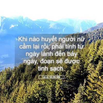 Picture 05 - Lê-vi 15:28 VIE - Khi nào huyết người nữ cầm lại rồi, - Bible Verse Picture