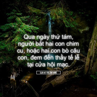 Picture 05 - Lê-vi 15:29 VIE - Qua ngày thứ tám, người bắt hai con chim - Bible Verse Picture