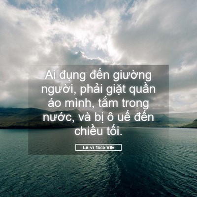 Picture 05 - Lê-vi 15:5 VIE - Ai đụng đến giường người, phải - Bible Verse Picture