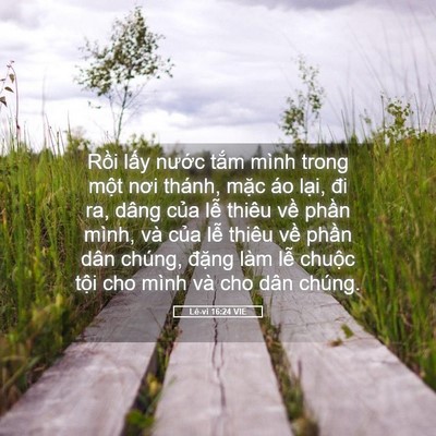Picture 05 - Lê-vi 16:24 VIE - Rồi lấy nước tắm mình trong một nơi - Bible Verse Picture