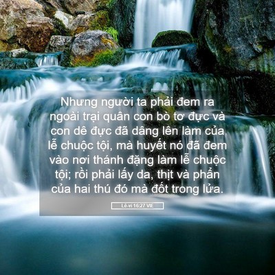 Picture 05 - Lê-vi 16:27 VIE - Nhưng người ta phải đem ra ngoài trại - Bible Verse Picture