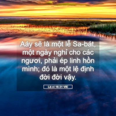 Picture 05 - Lê-vi 16:31 VIE - Aáy sẽ là một lễ Sa-bát, một ngày - Bible Verse Picture