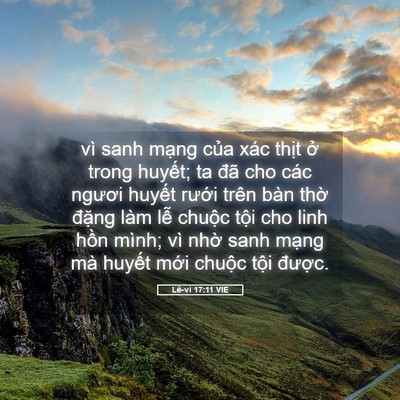 Picture 05 - Lê-vi 17:11 VIE - vì sanh mạng của xác thịt ở trong - Bible Verse Picture