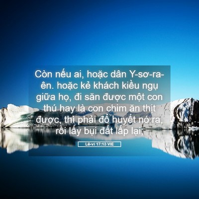 Picture 05 - Lê-vi 17:13 VIE - Còn nếu ai, hoặc dân Y-sơ-ra-ên. hoặc - Bible Verse Picture