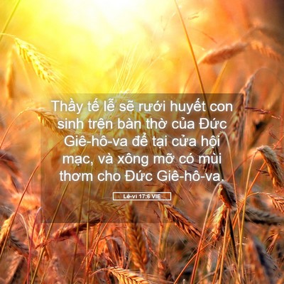 Picture 05 - Lê-vi 17:6 VIE - Thầy tế lễ sẽ rưới huyết con sinh - Bible Verse Picture