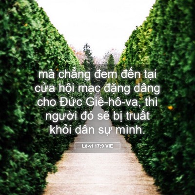 Picture 05 - Lê-vi 17:9 VIE - mà chẳng đem đến tại cửa hội mạc - Bible Verse Picture