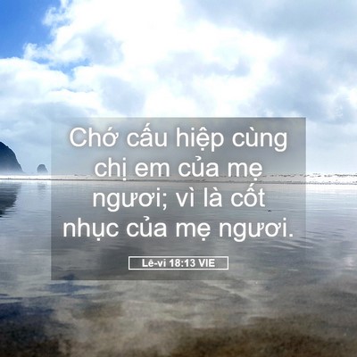 Picture 05 - Lê-vi 18:13 VIE - Chớ cấu hiệp cùng chị em của mẹ - Bible Verse Picture