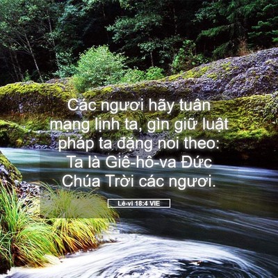Picture 05 - Lê-vi 18:4 VIE - Các ngươi hãy tuân mạng lịnh ta, gìn - Bible Verse Picture