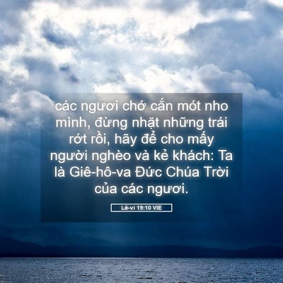 Picture 05 - Lê-vi 19:10 VIE - các ngươi chớ cắn mót nho mình, đừng - Bible Verse Picture