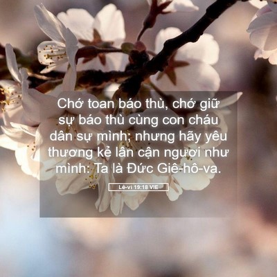 Picture 05 - Lê-vi 19:18 VIE - Chớ toan báo thù, chớ giữ sự báo thù - Bible Verse Picture