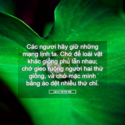 Picture 05 - Lê-vi 19:19 VIE - Các ngươi hãy giữ những mạng lịnh ta. - Bible Verse Picture