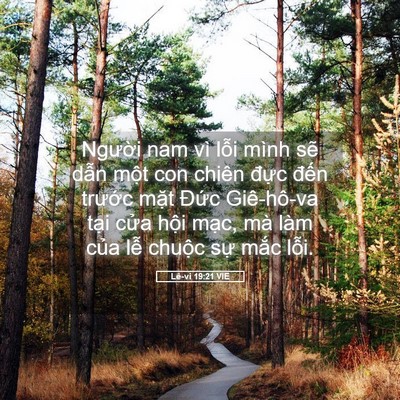 Picture 05 - Lê-vi 19:21 VIE - Người nam vì lỗi mình sẽ dẫn một con - Bible Verse Picture