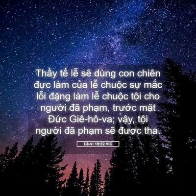 Picture 05 - Lê-vi 19:22 VIE - Thầy tế lễ sẽ dùng con chiên đực - Bible Verse Picture