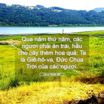 Picture 05 - Lê-vi 19:25 VIE - Qua năm thứ năm, các ngươi phải ăn - Bible Verse Picture
