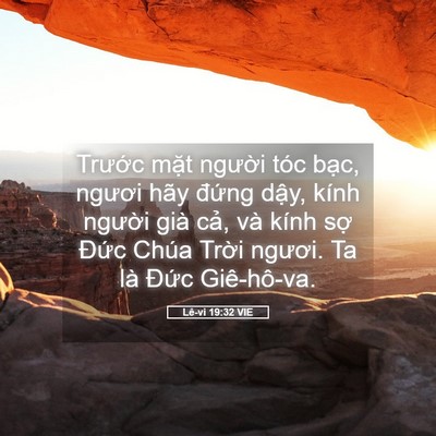 Picture 05 - Lê-vi 19:32 VIE - Trước mặt người tóc bạc, ngươi hãy - Bible Verse Picture
