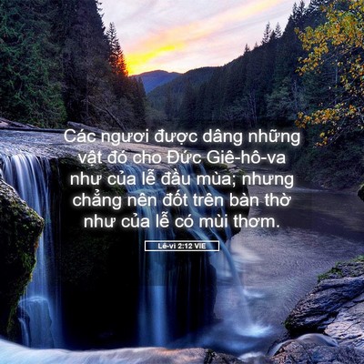 Picture 05 - Lê-vi 2:12 VIE - Các ngươi được dâng những vật đó - Bible Verse Picture