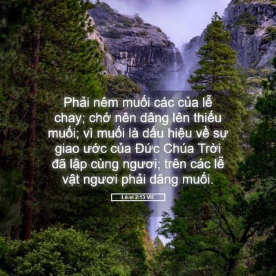 Picture 05 - Lê-vi 2:13 VIE - Phải nêm muối các của lễ chay; chớ - Bible Verse Picture