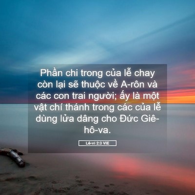 Picture 05 - Lê-vi 2:3 VIE - Phần chi trong của lễ chay còn lại sẽ - Bible Verse Picture
