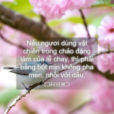 Picture 05 - Lê-vi 2:5 VIE - Nếu ngươi dùng vật chiên trong chảo - Bible Verse Picture